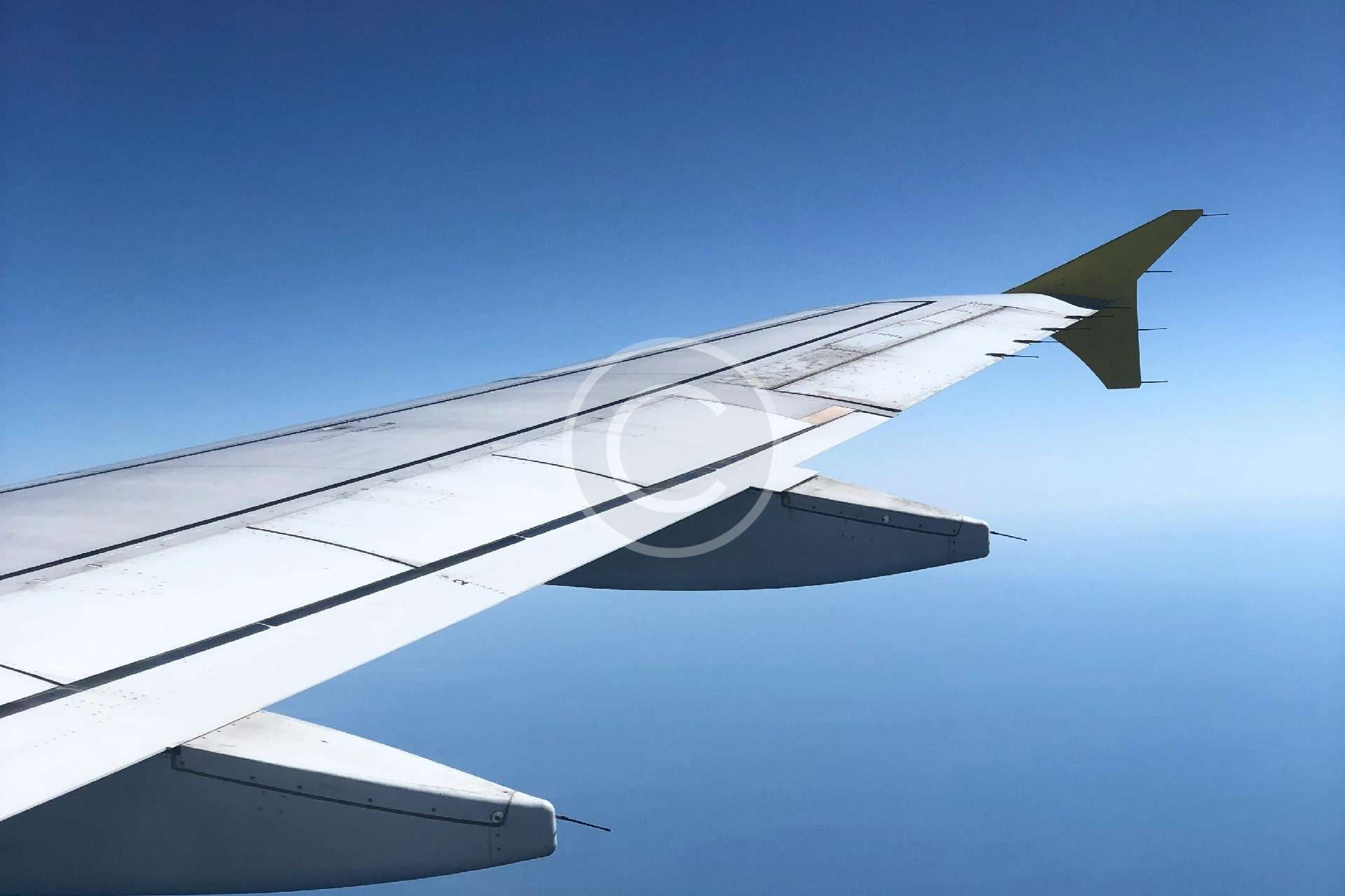 International freight forwarding
